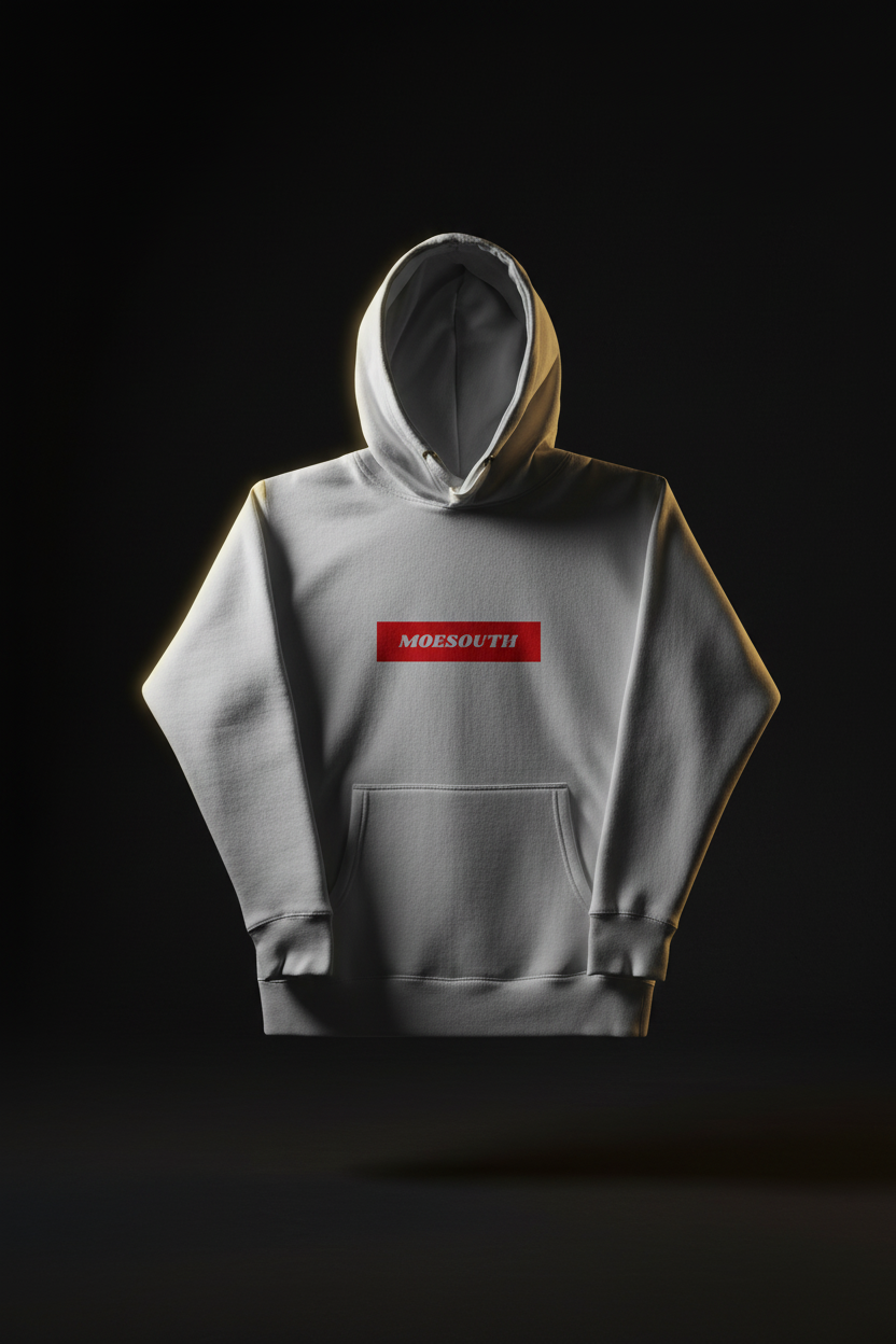 MOESOUTH simple but not common hoodie